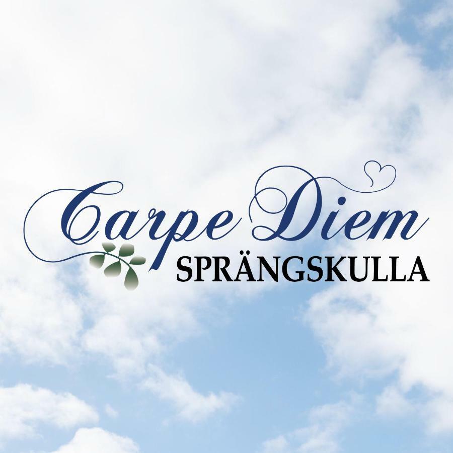 Carpe Diem Spraengskulla Veddige Экстерьер фото